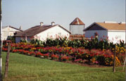 Amish House Garden