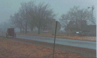 Amish Buggy in the Fog