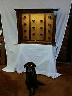 Loki the Dog with Wall Mounted Handgun Cabinet