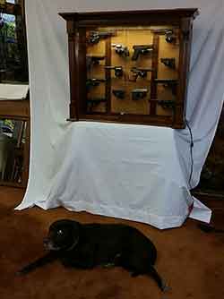 Loki the furniture dog with wall haning pistol display