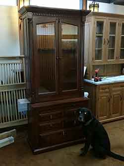 Loki, our gun cabinet dog, with 12 gun cabinet