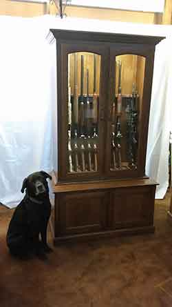 Loki the Dog Posing with Custom Gun Cabinet