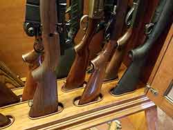 Eight Guns on Display in Gun Cabinet