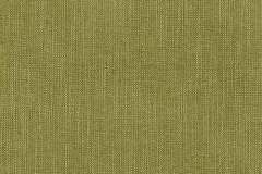 Heartland-Fabrics-Easy-Living-C2-29-Celery