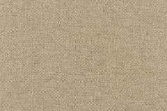 Heartland-Fabrics-Revolution-R1-38-Dumpling