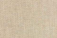 Heartland-Fabrics-Standard-22-53-Beetle