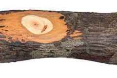 4 in Rustic Amish Made Scoop Drawer Pull.