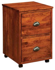 Jacoby rolling file cabinet