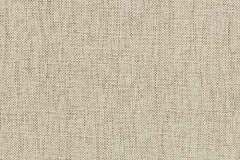 Heartland-Fabrics-Easy-Living-C2-39-Birch