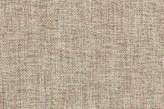 Heartland-Fabrics-Easy-Living-C2-44-Goldilocks