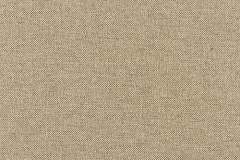 Heartland-Fabrics-Revolution-R1-38-Dumpling